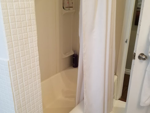 bathroom before reno photo 2