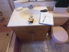 bathroom before reno photo 2