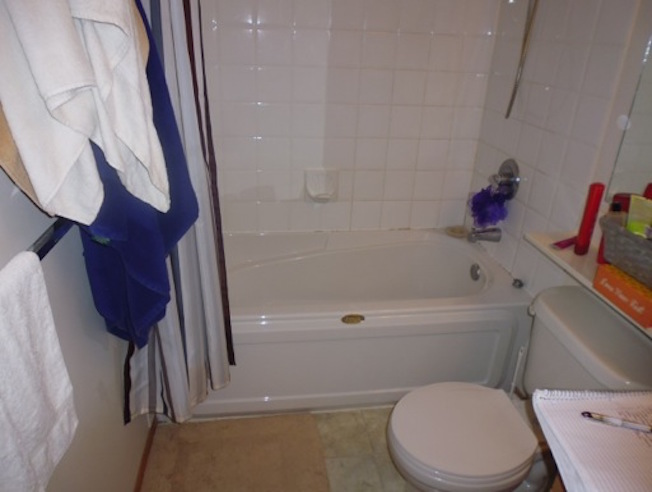 bathroom before reno photo 3